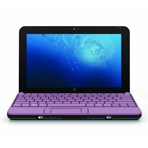 HP Mini 110-1113NR 10.1-Inch Pink Netbook